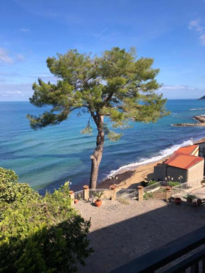 Massimo Beachfront Apartment